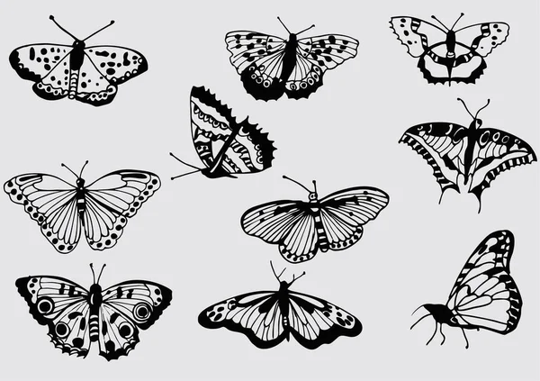 Set Butterfly Drawing Vector — Stock Vector