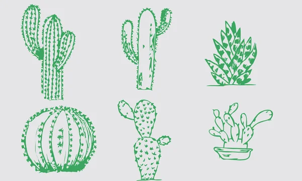 Set Cactus Drawing Green Vector — Stock Vector