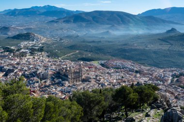 Şehirdeki Jaen Katedrali 'nin hava manzarası ve arka planda bir zeytin ağacı tarlası.