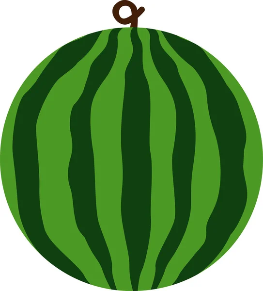 Dolu Karpuz Koca Yeşil Meyve Sulu Tropikal Yaz Tecrit Edildi