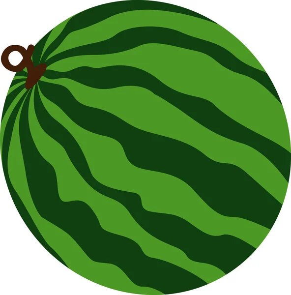 Dolu Karpuz Koca Yeşil Meyve Sulu Tropikal Yaz Tecrit Edildi