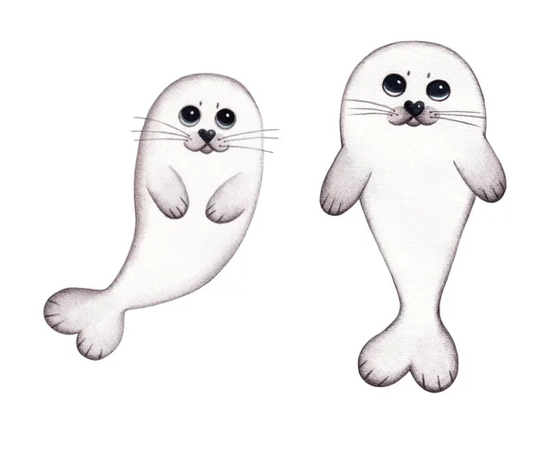 Illustratie Met Two Baby Seals Set Van Twee Aquarel Pelsrobben — Stockfoto