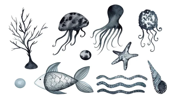 黒とグレーの海の生き物と水彩セット クラゲと魚と海の崖 — ストック写真