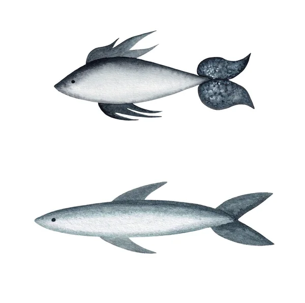 Set Mit Zwei Aquarellen Marine Grey Fish Clipart — Stockfoto