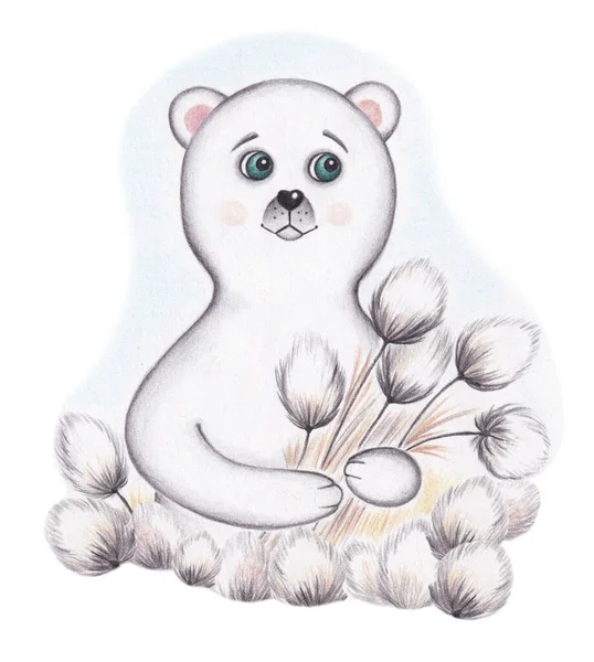 Ilustração Urso Polar Com Buquê Grama Algodão Desenho Lápis Aminal — Fotografia de Stock