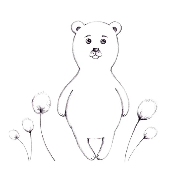 Szkic Niedźwiedzia Polarnego Kwiatami Trawy Bawełnianej Ilustracja Niedźwiedzi Ołówkowych — Zdjęcie stockowe