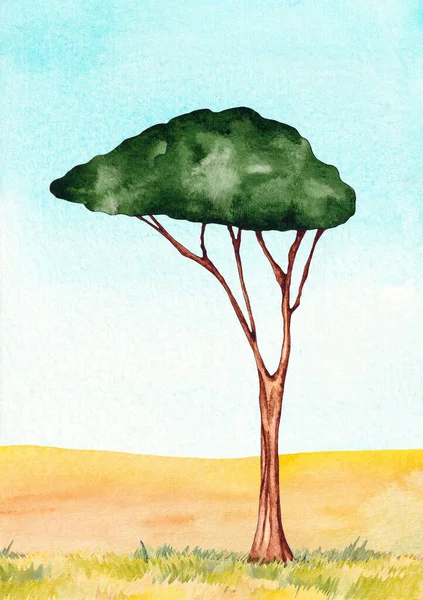 在阳光明媚的夏日 在萨凡纳用直杆和叉形冠冕的非洲树的水彩画 实地景观 — 图库照片