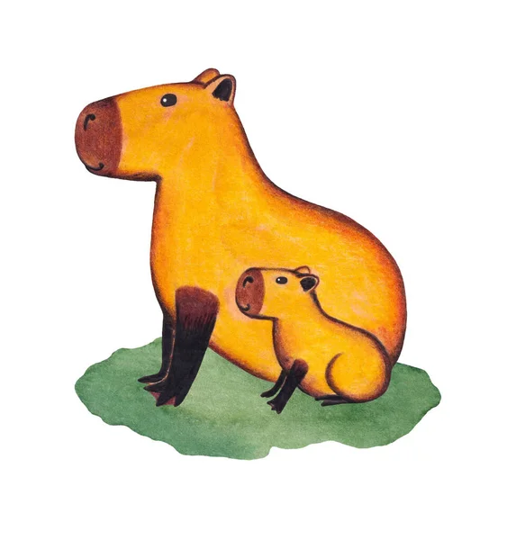 Şirin sarı bir Capybara yeşil çimlerin üzerinde bir yavruyla oturuyor. Vahşi Hayvan İllüstrasyonu. Kemirgenler.