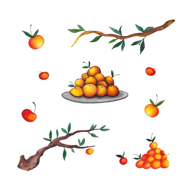 Σετ Κίτρινα Και Κόκκινα Πορτοκάλια Και Μήλα Και Φυτά Κλιπ — Φωτογραφία Αρχείου