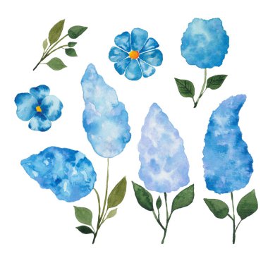 Suluboya Mavi Çiçekler Seti. El Çizimi Botanik Çizimi. Çiçekli Clipart. Leylak Resmi