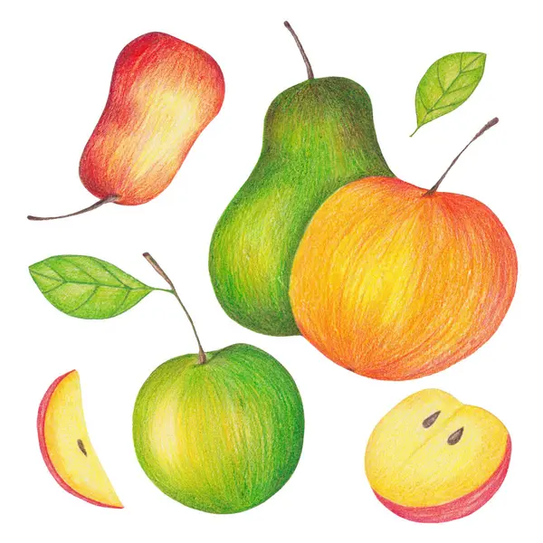 Elmalı ve armutlu el çizimi kalem seti. Yeşil ve Kırmızı Meyveli Klip Sanatı.