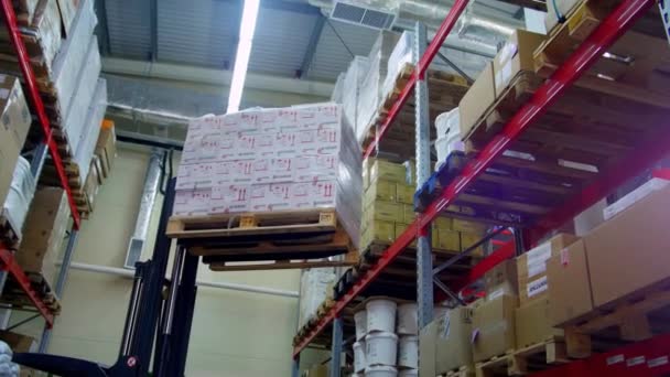 装载起重机将货物与仓库中的物品一起抬到货架上 升降机在仓库的工作场所将货物提升到上层货架 — 图库视频影像