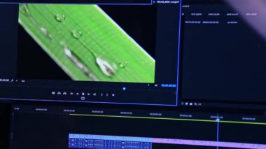 Yaprak ve su videolarını monte etmek için kullanılan özel bir bilgisayar yazılımı. İçeriği bitki kapatma ile düzenlemek için açık program ile ekranı izle