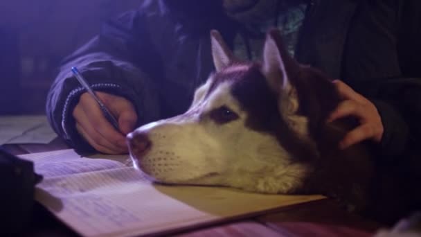 Kyiv Ukraine Eylül 2021 Nsan Husky Nin Köpeğini Okşayan Arkadaşının — Stok video