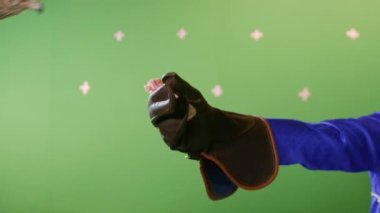 Şahin uçar ve küçük bir et parçası yakalar. Fowler 'ın elinden tatmak için patileriyle. Evcil vahşi kuş ihtiyaçlarını karşılamayı ve yemeği tatmayı sever.