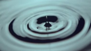 Kalın damlalar düşer ve temiz suda dalga daireleri çizerler. Damlalar su üzerinde büyük halkalar oluşturur ve su yüzeyini dağıtır.