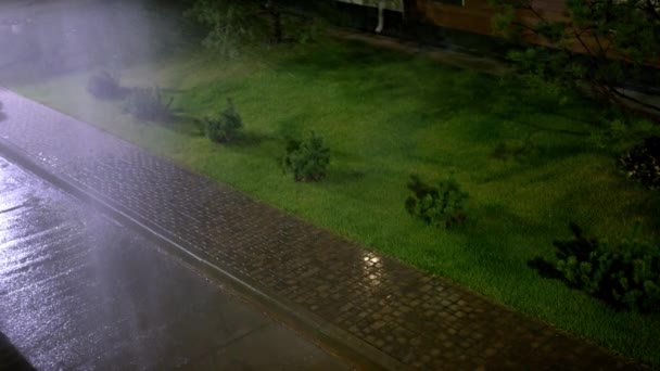 大雨は夜の空の街の通りで発生します 街路灯は道路舗装や芝生に木や茂みを反射します — ストック動画