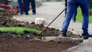 Şehir işçisi şehir parkında çim biçmeden önce toprağı tırmıkla öğütüyor ve düzleştiriyor. Erkek, kaldırım kenarında çalışıyor. Ekin gövdesi bulanık.