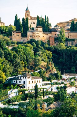 Alhambra 'nın dikey görüntüsü, yemyeşil ve altında beyaz binalar var.