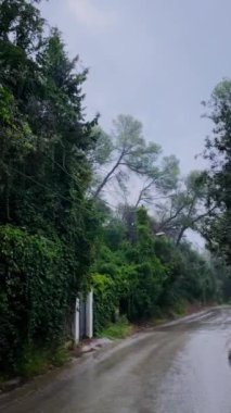 Yağmurlu bir sonbahar gününde yemyeşil yemyeşil ile boş dağ köyü sokak köşesi