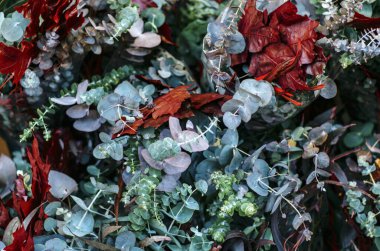 A lush bouquet of dried eucalyptus and red foliage at a Christmas market clipart