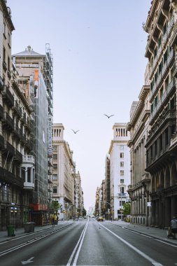 Kuşlar boş Via Laietana caddesinde uçuyor sabahın erken saatlerinde Barcelona, İspanya