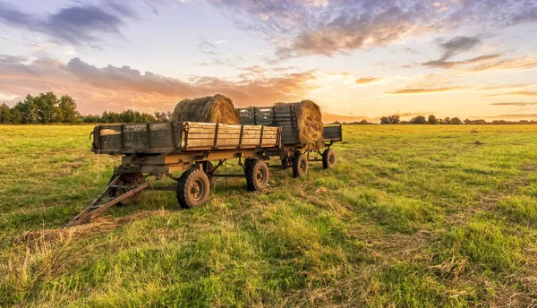 Old Vintage Carriage Hay Stacks Green Shiny Field Beautiful Sunset — Stock Photo, Image
