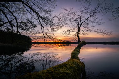Sonbaharın başlarında güzel bir suşeyle bir nehrin üzerinde köprü.
