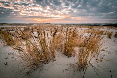 Gün batımında Parnidis kum tepeciği. Curonian salyası, Nida şehri, Litvanya.