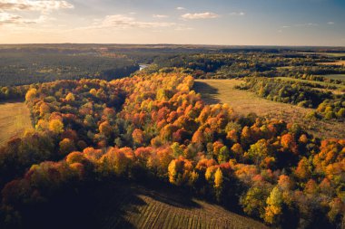 Güneşli bir günde tarlaları ve ormanları olan sonbahar manzarası