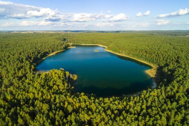 Ormanın ortasında küçük bir göl. Ağaçlarla çevrili göl. Yukarıdan drone fotoğrafı.