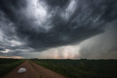 Tarlalarda fırtına bulutları. Gök gürültüsü ve yağmur için hava durumu fotoğrafı