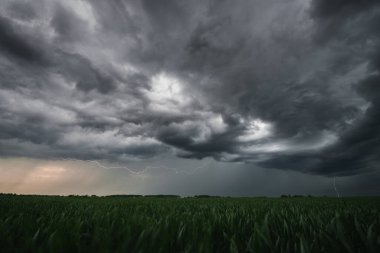 Tarlalarda fırtına bulutları. Gök gürültüsü ve yağmur için hava durumu fotoğrafı