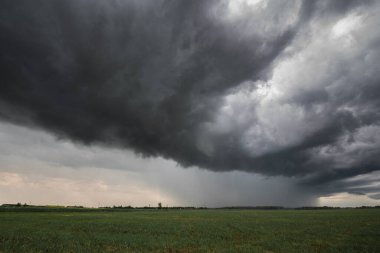 Tarlalarda fırtına bulutları. Gök gürültüsü ve yağmur için hava durumu fotoğrafı