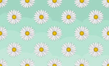 Pastel yeşil arka planda Daisy çiçek deseni