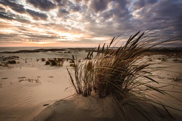 stock image Parnidis sand dune in sunset. Curonian spit, Nida city, Lithuania.