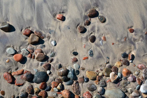 Islak Kum Arkaplan Deseninde Deniz Taşları — Stok fotoğraf