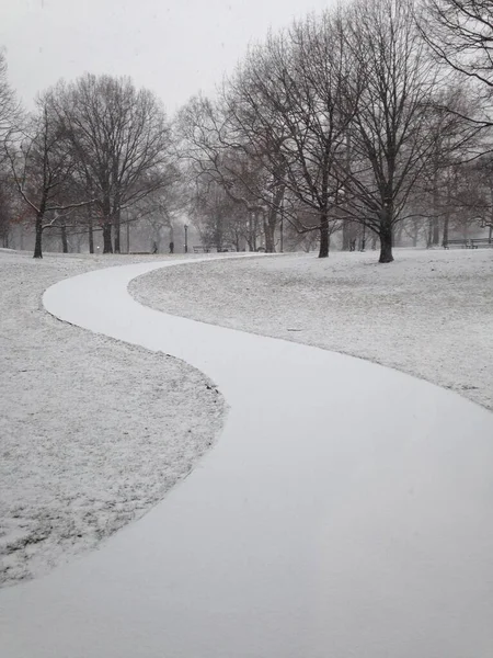 Snowy Central Park Nowym Jorku — Zdjęcie stockowe