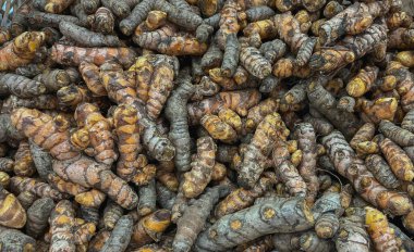 Piyasada taze zerdeçal kökleri