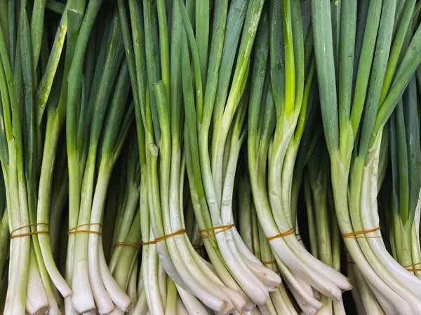 Bir demet organik Chives, taze sebolleta o ciboulette.