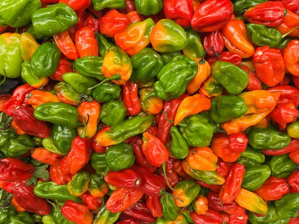 Arkaplanda sıralanmış çeşitli meyveler, turuncu, yeşil ve kırmızı elma