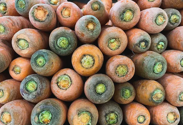 Süpermarkette taze toplanmış havuç portakalı yığını