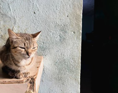 Renkli günbatımında dağ sırasıyla güzel bir manzara.