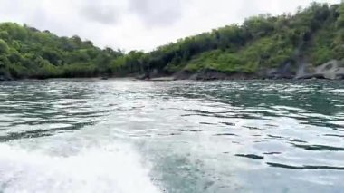 Sahildeki bir adadan güzel bir manzara Su ve bitki örtüsü