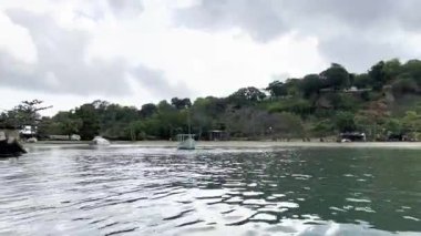 Sahildeki bir adadan güzel bir manzara Su ve bitki örtüsü