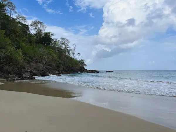 Mavi okyanus manzaralı tropik plaj, bitki örtüsü ve kumdaki güneş.