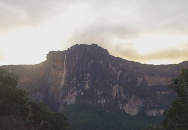 Venezuela 'daki dünyanın en yüksek şelalesi Angel Falls' un panoramik günbatımı manzarası