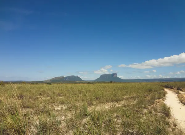 Venezuela 'daki Canaima Ulusal Parkı, Tepuis veya Dağları manzarası