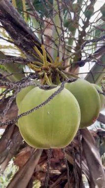 Parlak mavi gökyüzü ve kabarık bulutları ile güzel sahil rahatlamaya ve eğlenceye davetiye çıkarıyor.