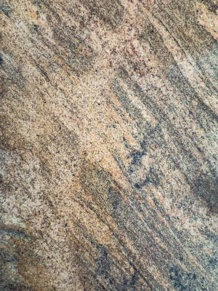 Tuğla duvardaki yaprakların soyut gölgeleri